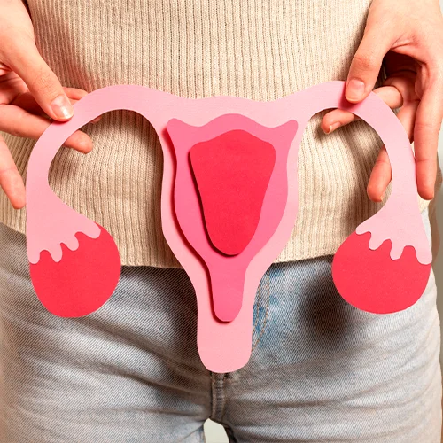 imagem ressecamento vaginal circle